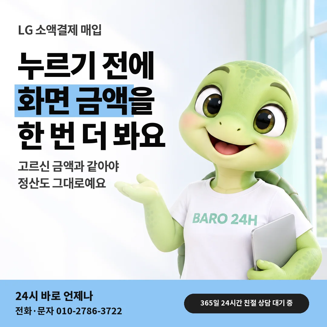 BARO 24H 티셔츠를 입은 3D 거북이 캐릭터 옆에 「LG 결제 화면 금액 확인」 제목을 얹은 안내 카드