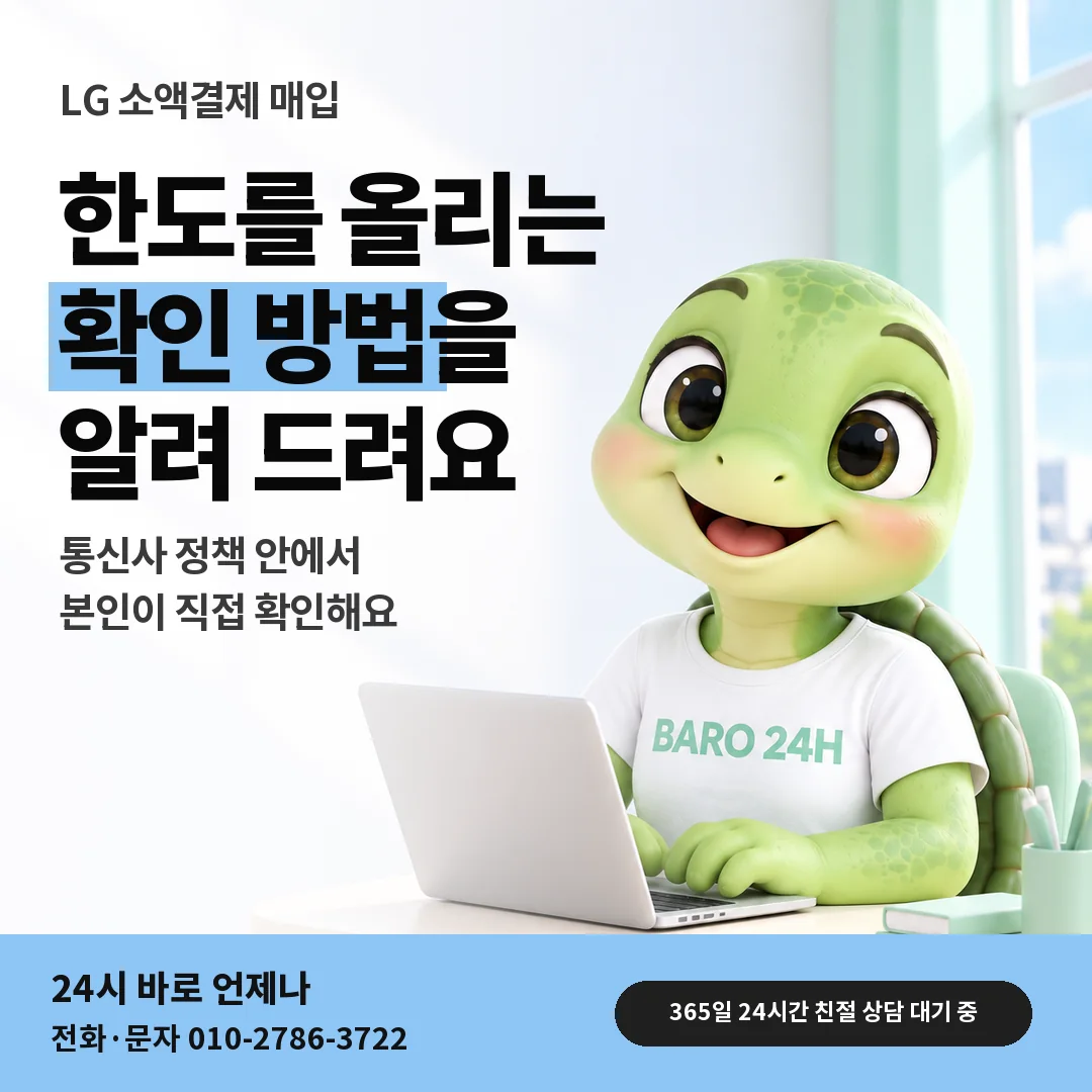 BARO 24H 티셔츠를 입은 3D 거북이 캐릭터 옆에 「LG 한도 상향 안내」 제목을 얹은 안내 카드